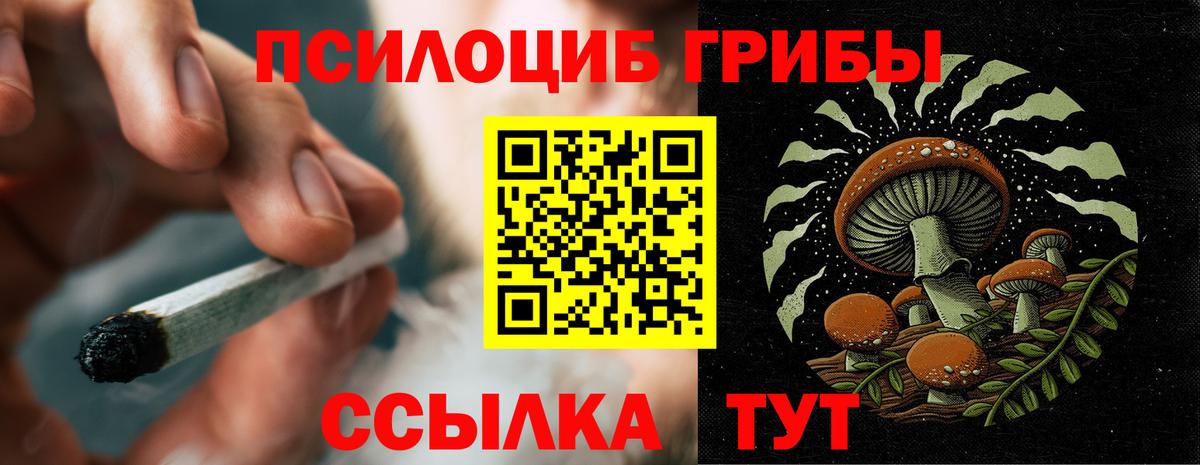Псилоцибиновые грибы GOLDEN TEACHER  где продают наркотики  Сокол  Галлюциногенные грибы Psilocybe  Вход с VPN 