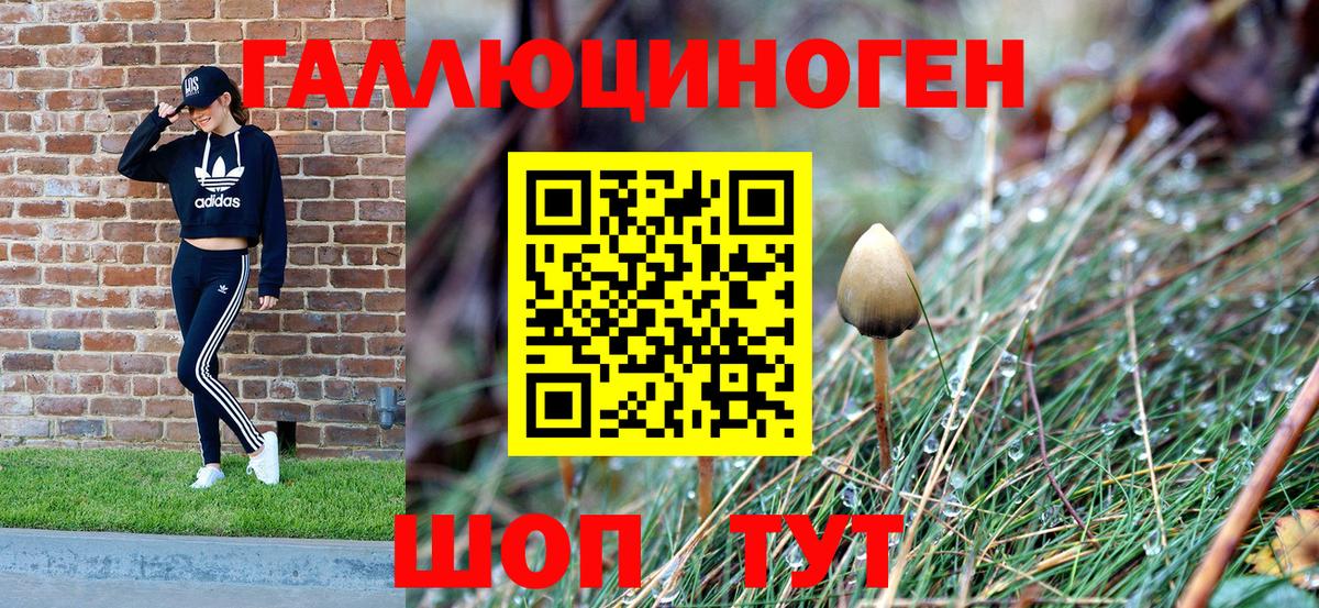 Псилоцибиновые грибы Magic Shrooms Сокол