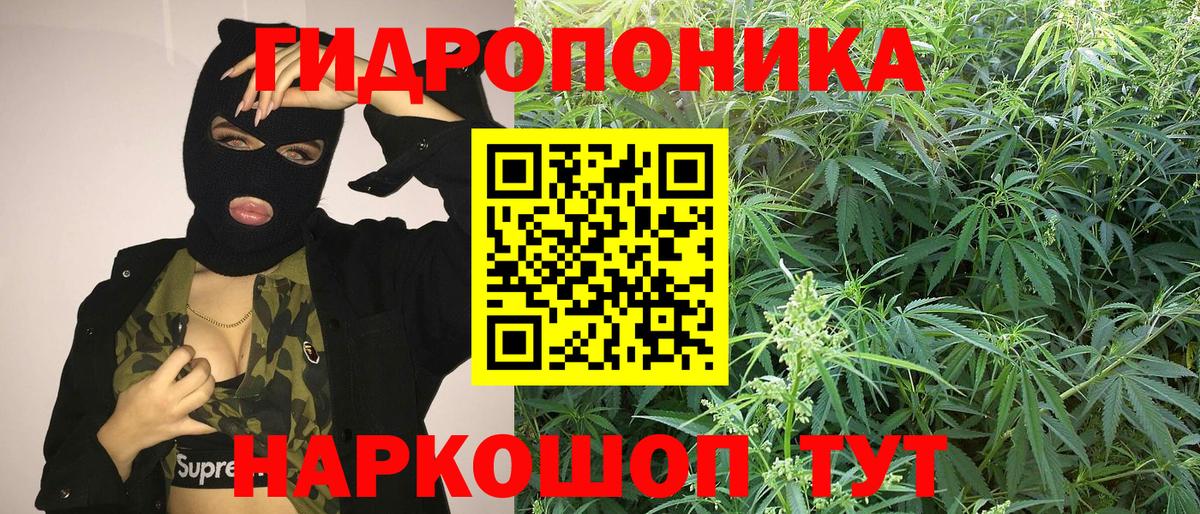 Конопля OG Kush  Бошки Шишки Ganja  Бошки Шишки Amnesia  Вход с VPN  Сокол 